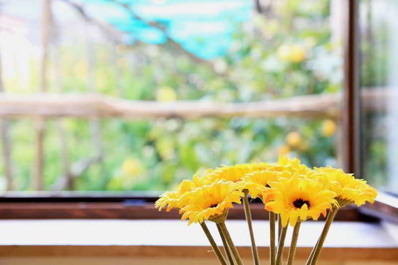 Mamma Lucia Villa ซอร์เรนโต ภายนอก รูปภาพ